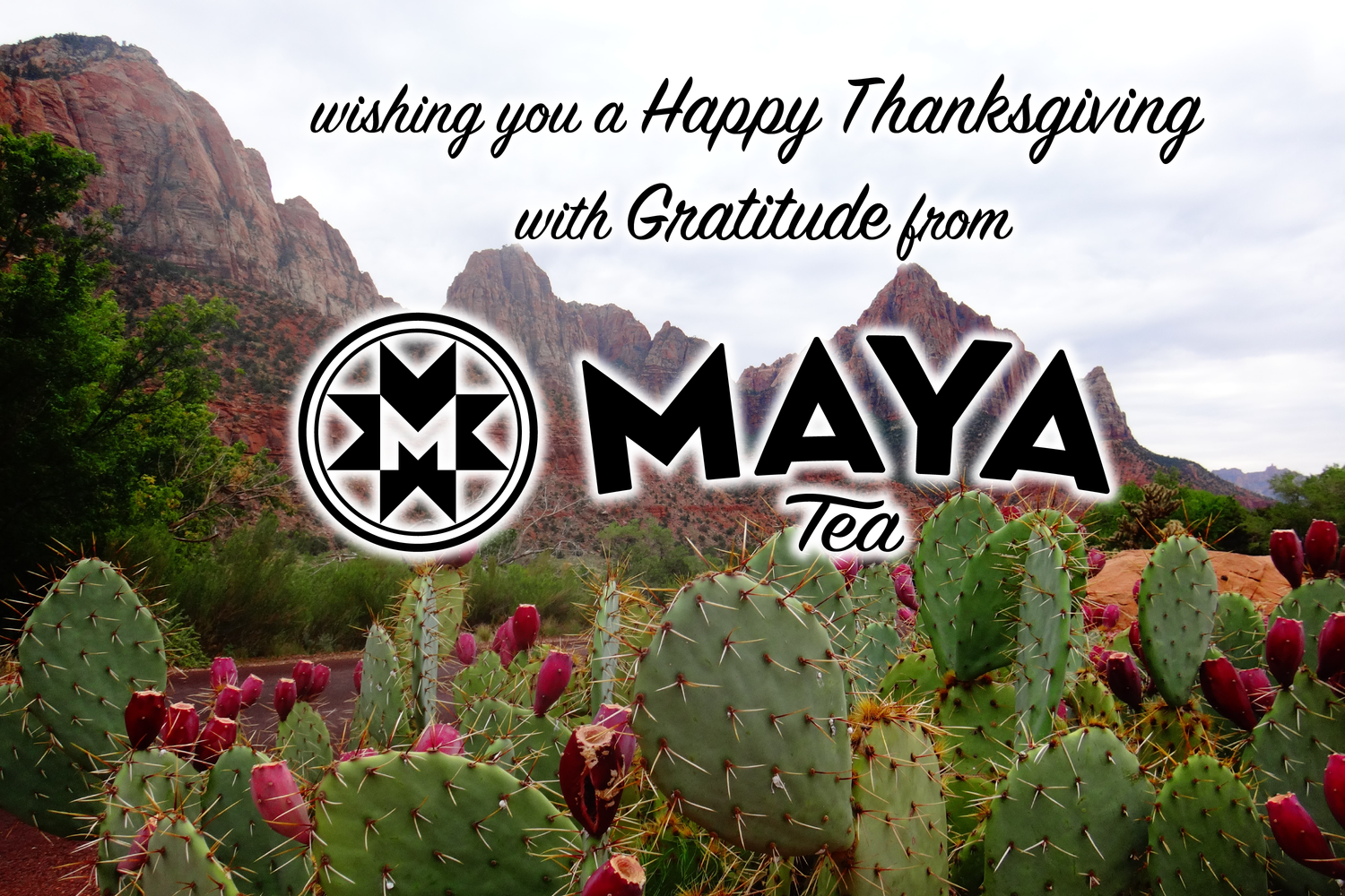 With Gratitude This Thanksgiving